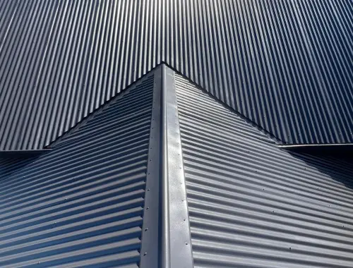 AZ Pro Painting Roof Painting