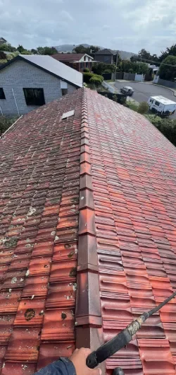 Property improvement services covering painting, roofing, coatings, cleaning, and maintenance