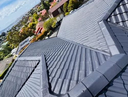 az pro painting roof restoration and painting
